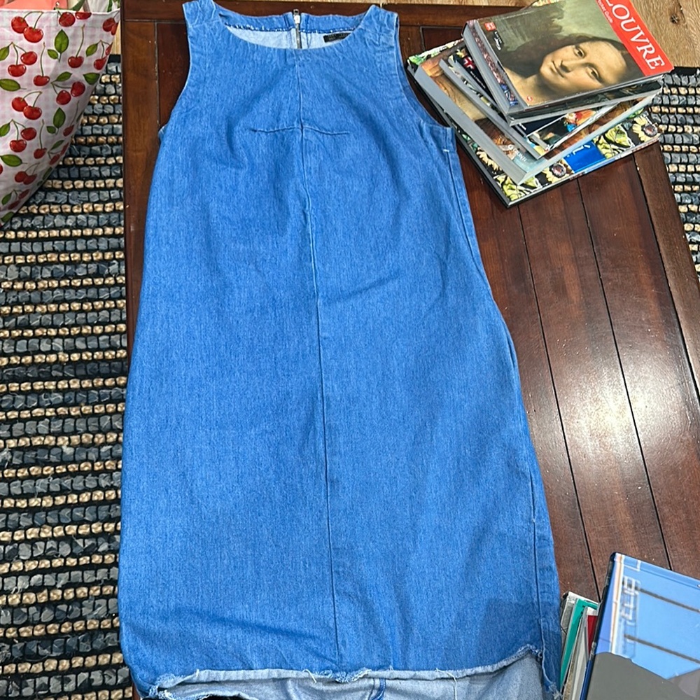 Zara Trafaluc Blue Denim Top